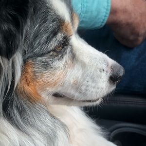 Meet your Posher, Susan